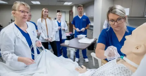 PA vs. NP: What’s the Difference?